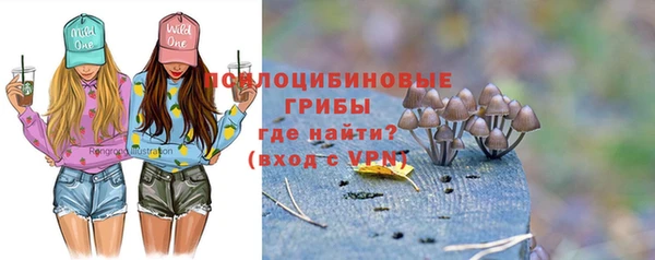 индика Корсаков