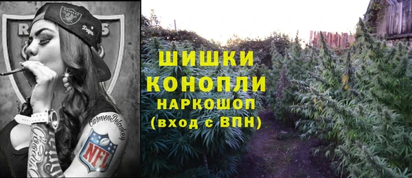 индика Корсаков