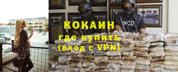 индика Корсаков