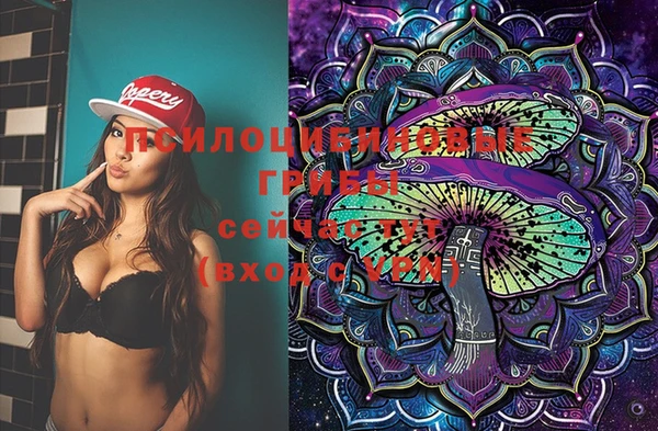 индика Корсаков