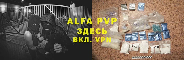 индика Корсаков