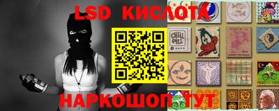 бошки Камышлов