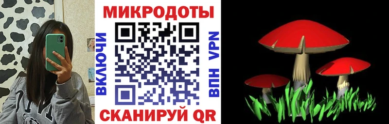 где найти   Кандалакша  Галлюциногенные грибы Psilocybine cubensis 